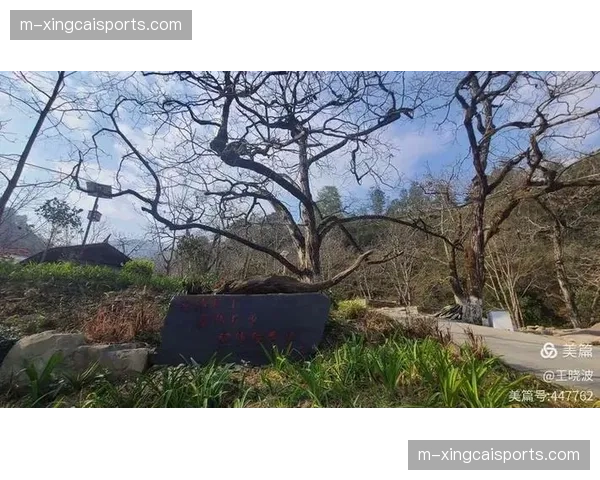 云南玉昆憾负海港仍居第三 二年级生展现持续竞争力