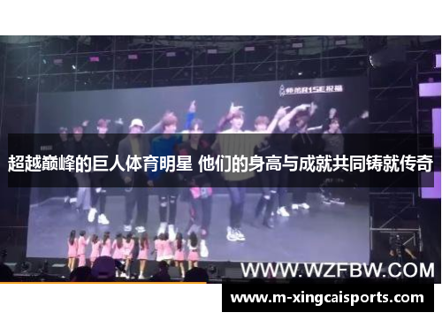 超越巅峰的巨人体育明星 他们的身高与成就共同铸就传奇